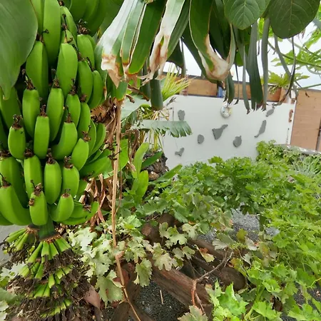 Paisaje Lunar アパート *